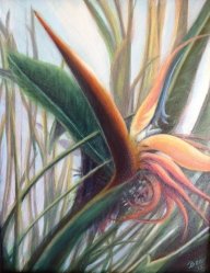 Sanibel Island real estate